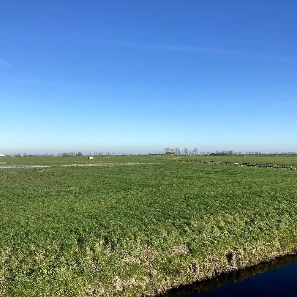 Het landschap bij Adorp, vlak bij Zuidwolde: alle rijscholen in Zuidwolde op een rij
