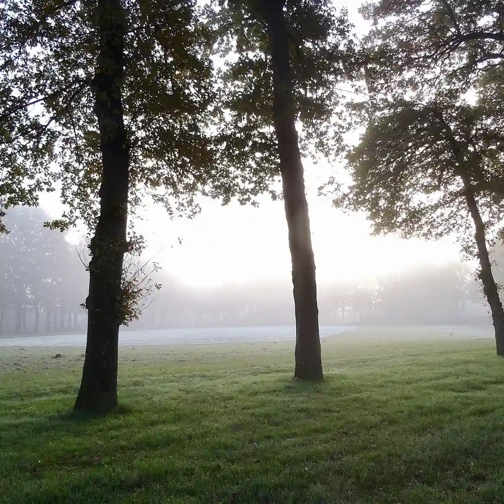 De Brink in Annen, waar je de rijscholen in Annen kunt vergelijken