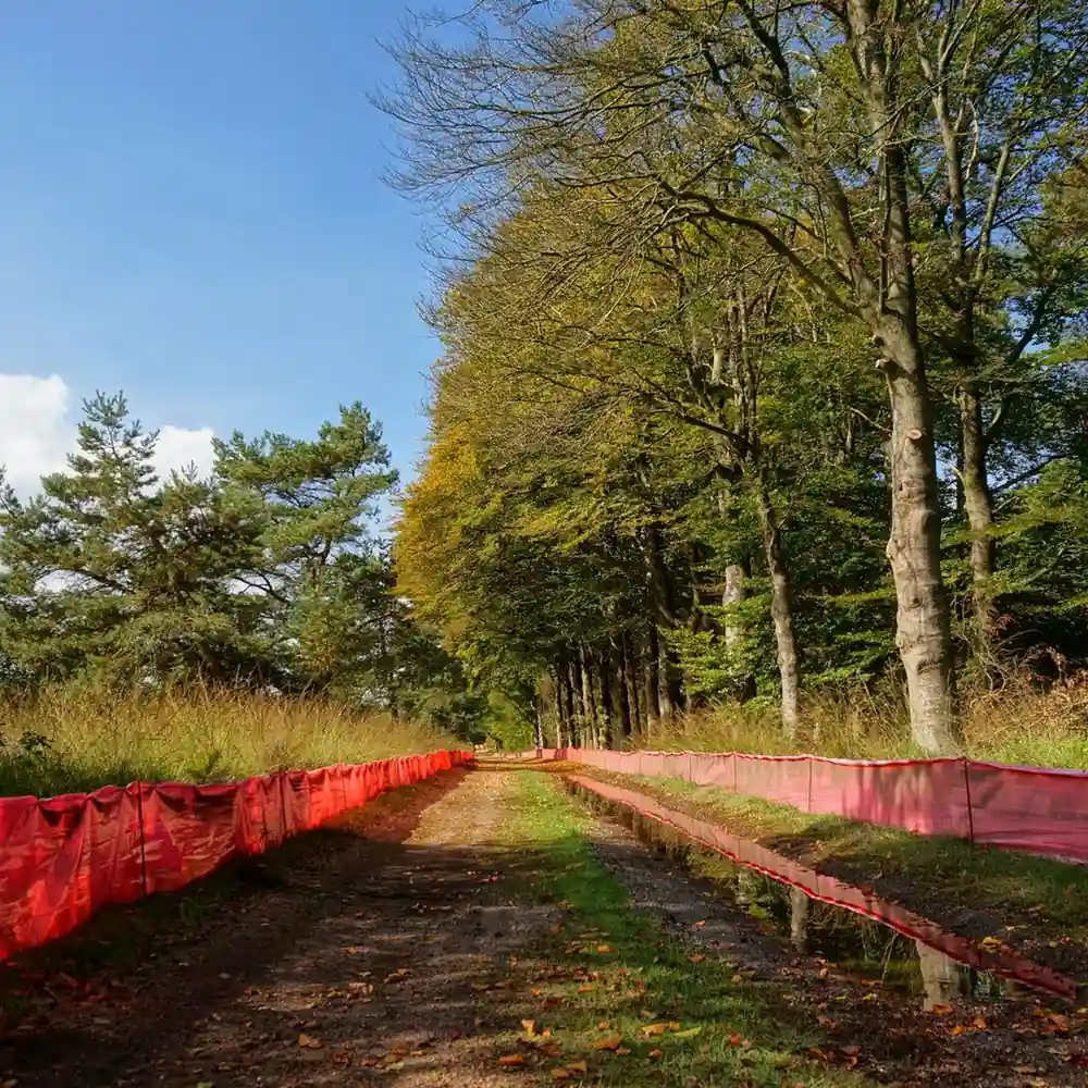 Bloeiende tulpen bij Bennekom: alle rijscholen in Bennekom op een rij