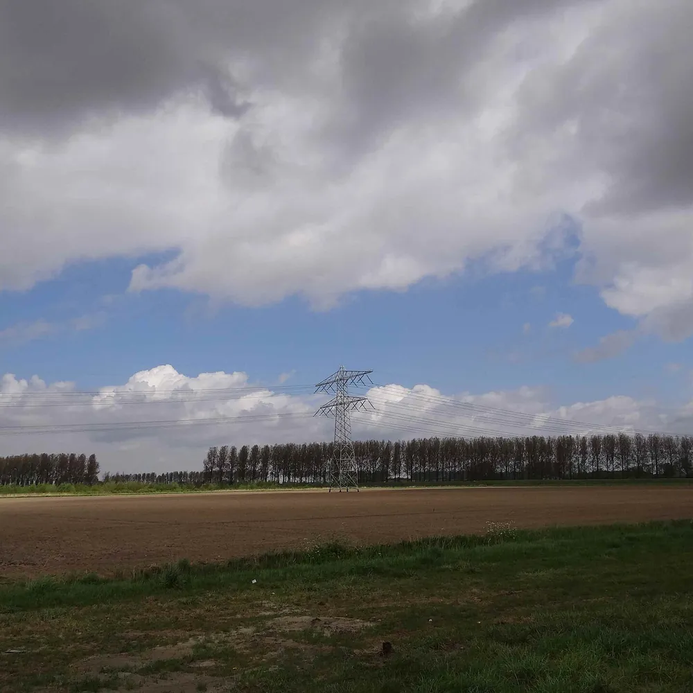 Het landschap bij Borssele: alle rijscholen in Borssele op een rij
