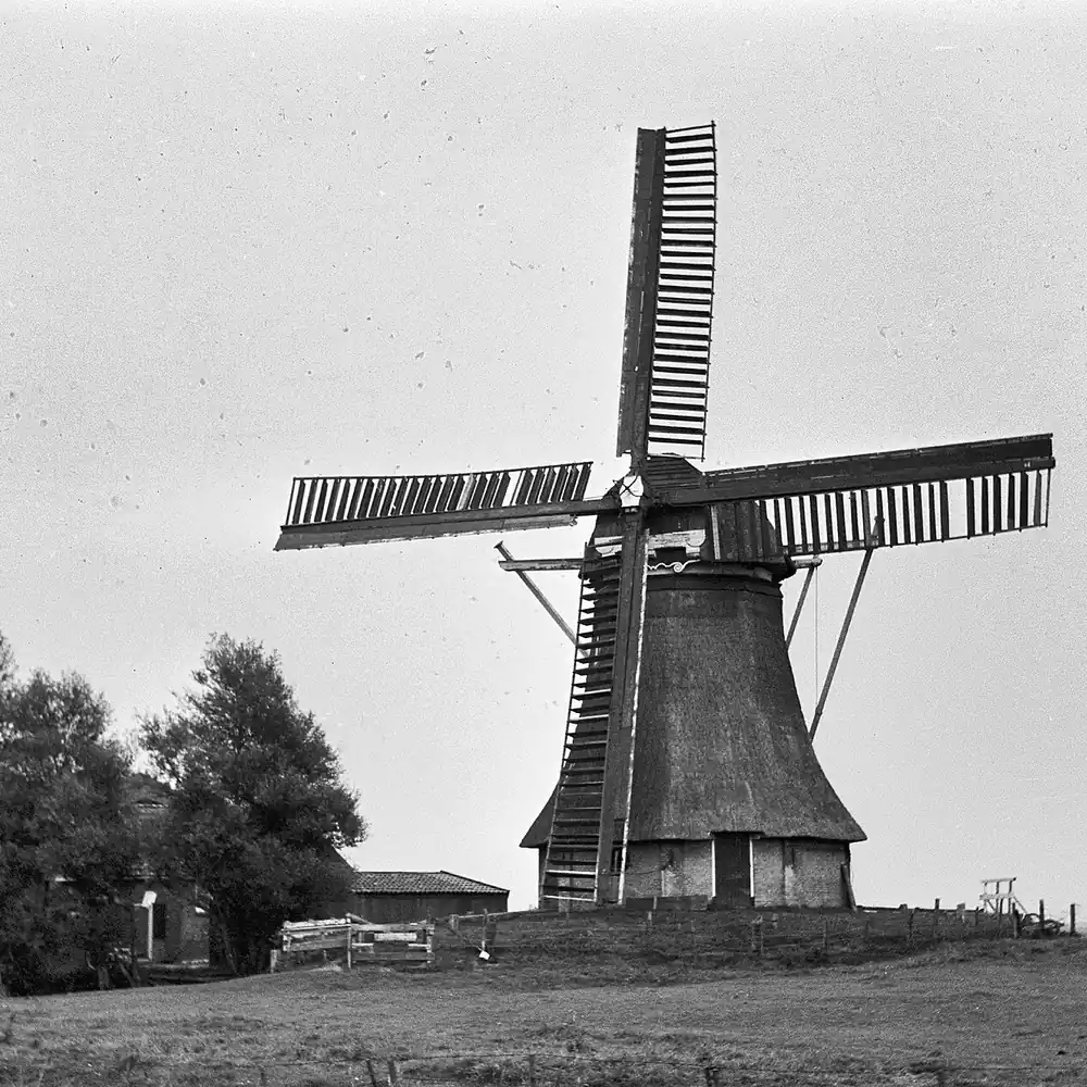 De Grote Molen bij Broeksterwoude op een oude foto, waar je de rijscholen in Broeksterwoude kunt vergelijken