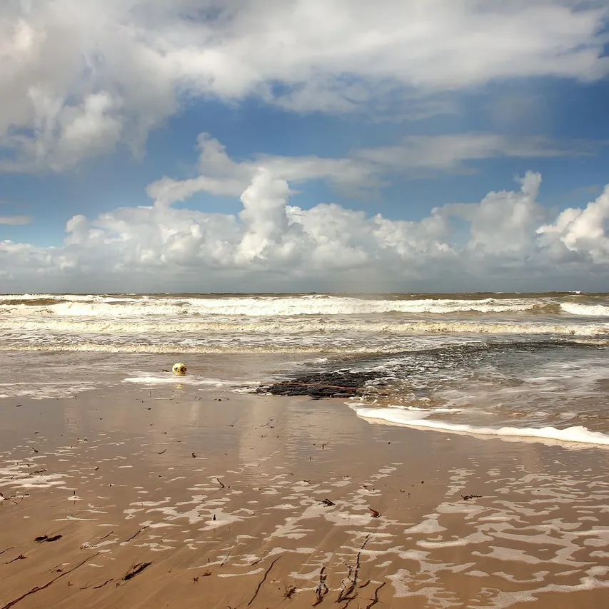 Het strand van Callantsoog: vergelijk de rijscholen in Callantsoog
