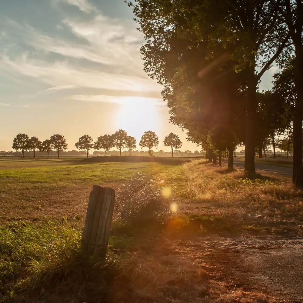 Zonsondergang boven het landschap bij Daarle: alle rijscholen in Daarle op een rij