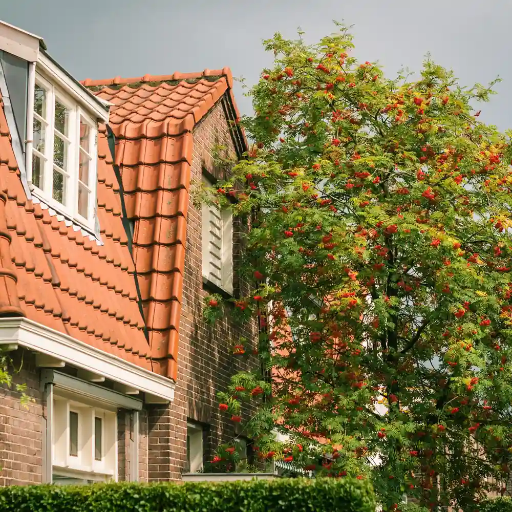 Een huis in een woonwijk in De Bilt, waar je de rijscholen in De Bilt kunt vergelijken