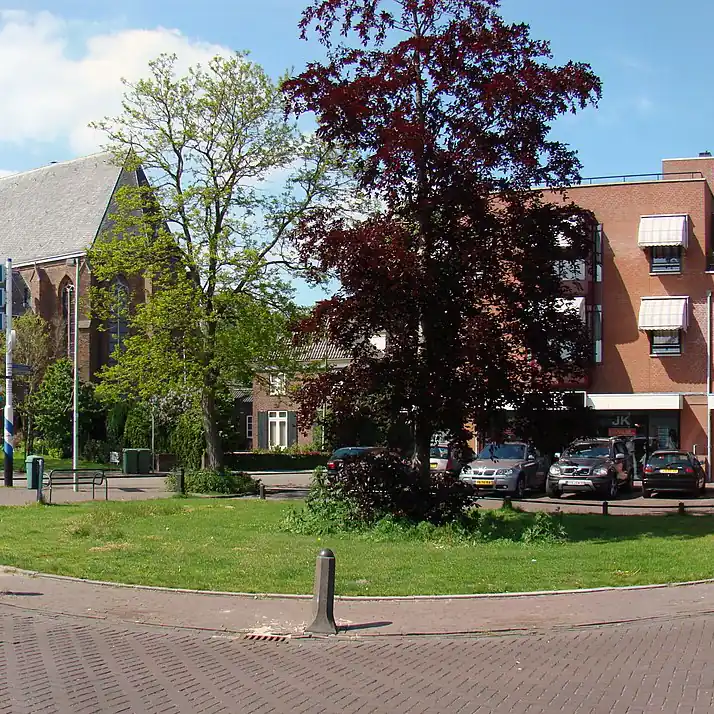 Een straat in Didam: vergelijk de rijscholen in Didam