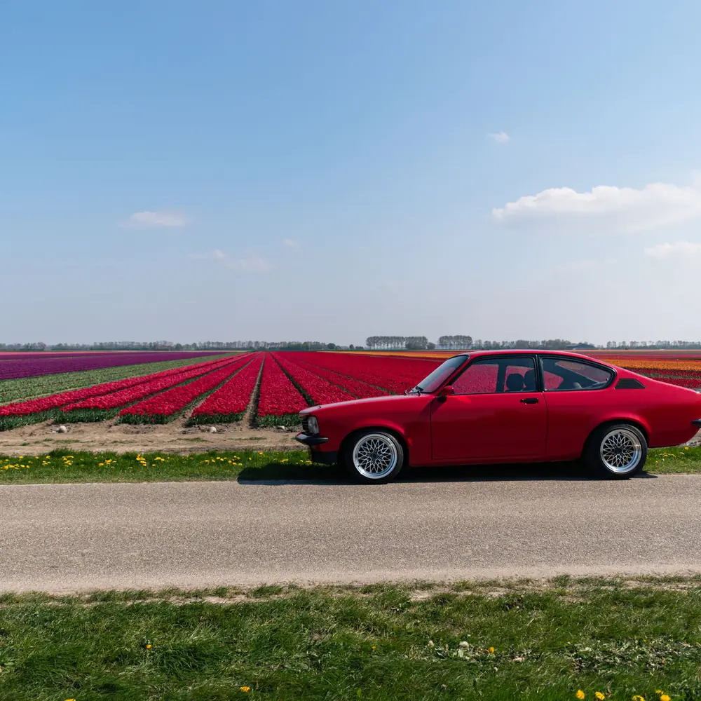 Een tulpenveld bij Dronten: vergelijk de rijscholen in Dronten