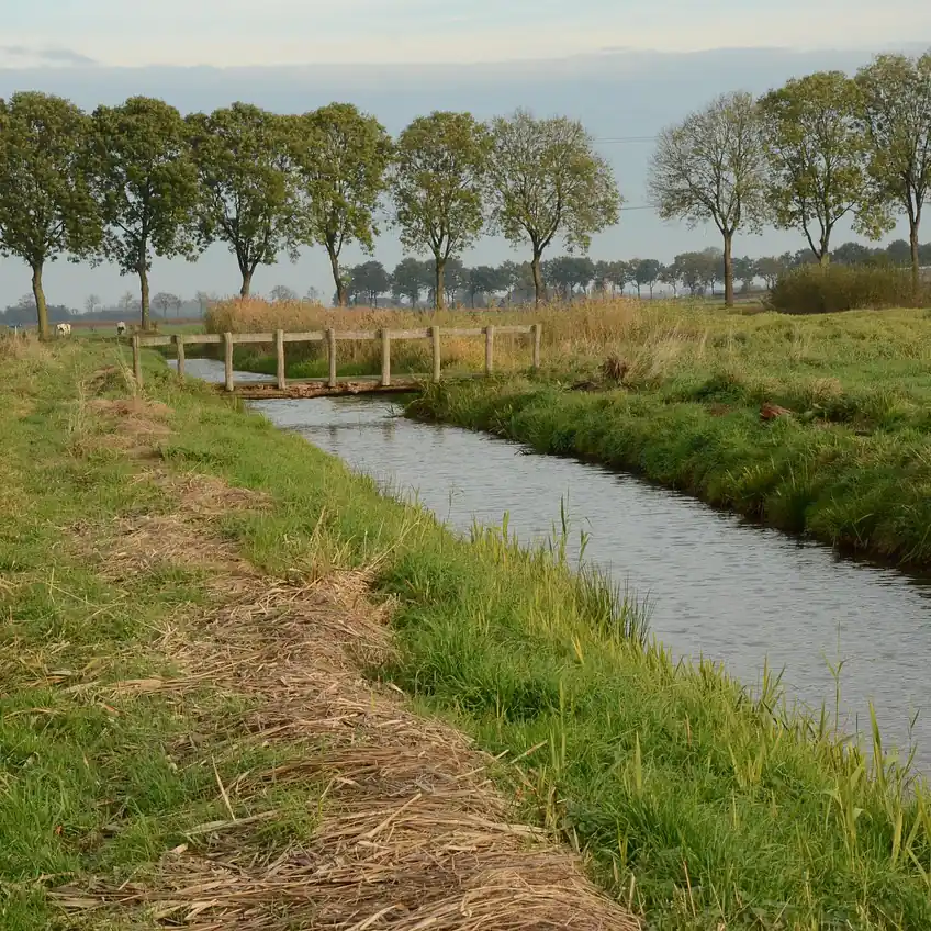 Natuur aan de rand van Etten-Leur: vergelijk de rijscholen in Etten-Leur