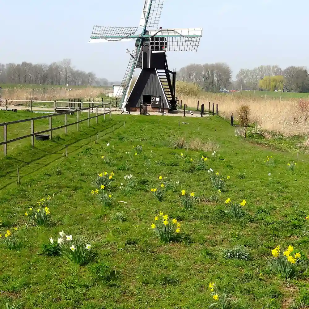 Een molen bij Follega: rijscholen in Follega vergelijken