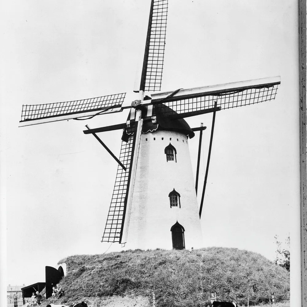 Korenmolen De Berg in Goirle: vergelijk de rijscholen in Goirle