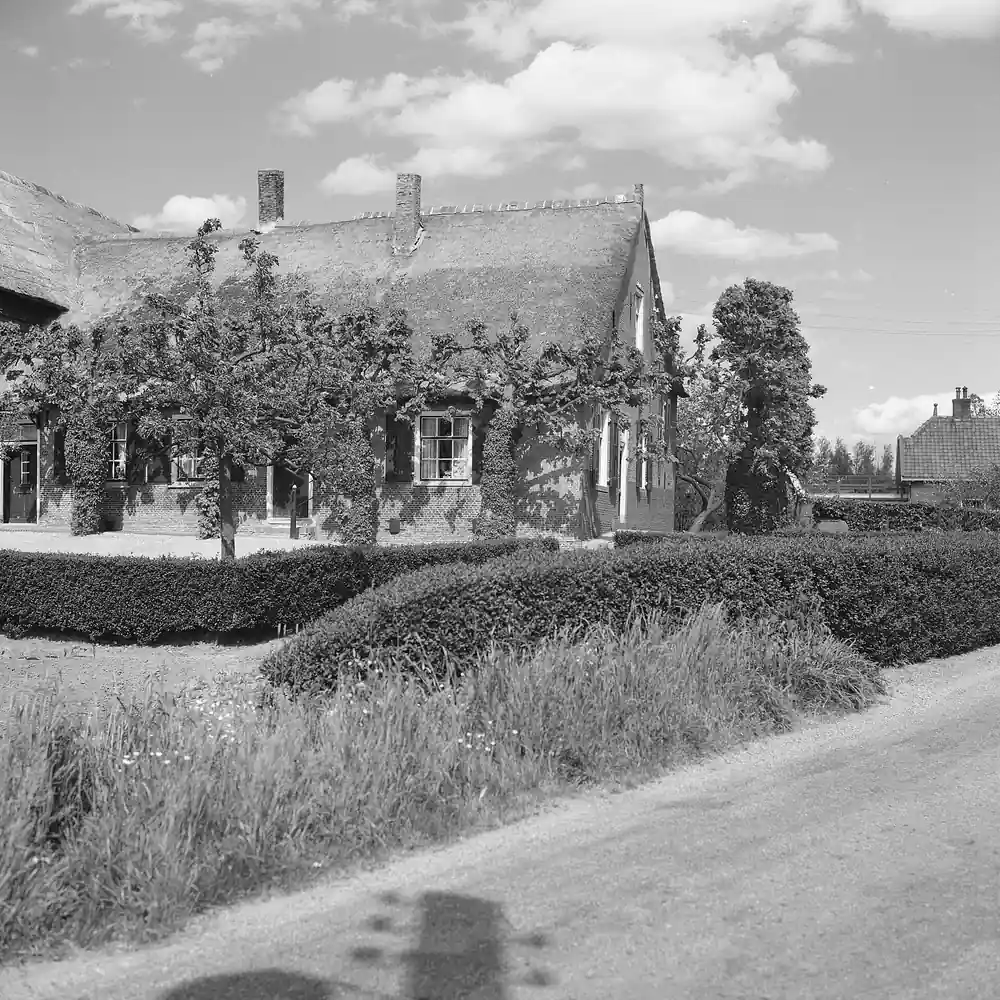 Boerderijen in Groot-Ammers op een oude foto: vergelijk de rijscholen in Groot-Ammers