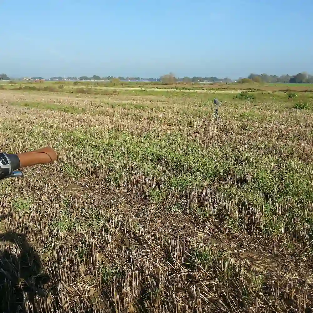 De polder bij Haarsteeg: vergelijk de rijscholen in Haarsteeg