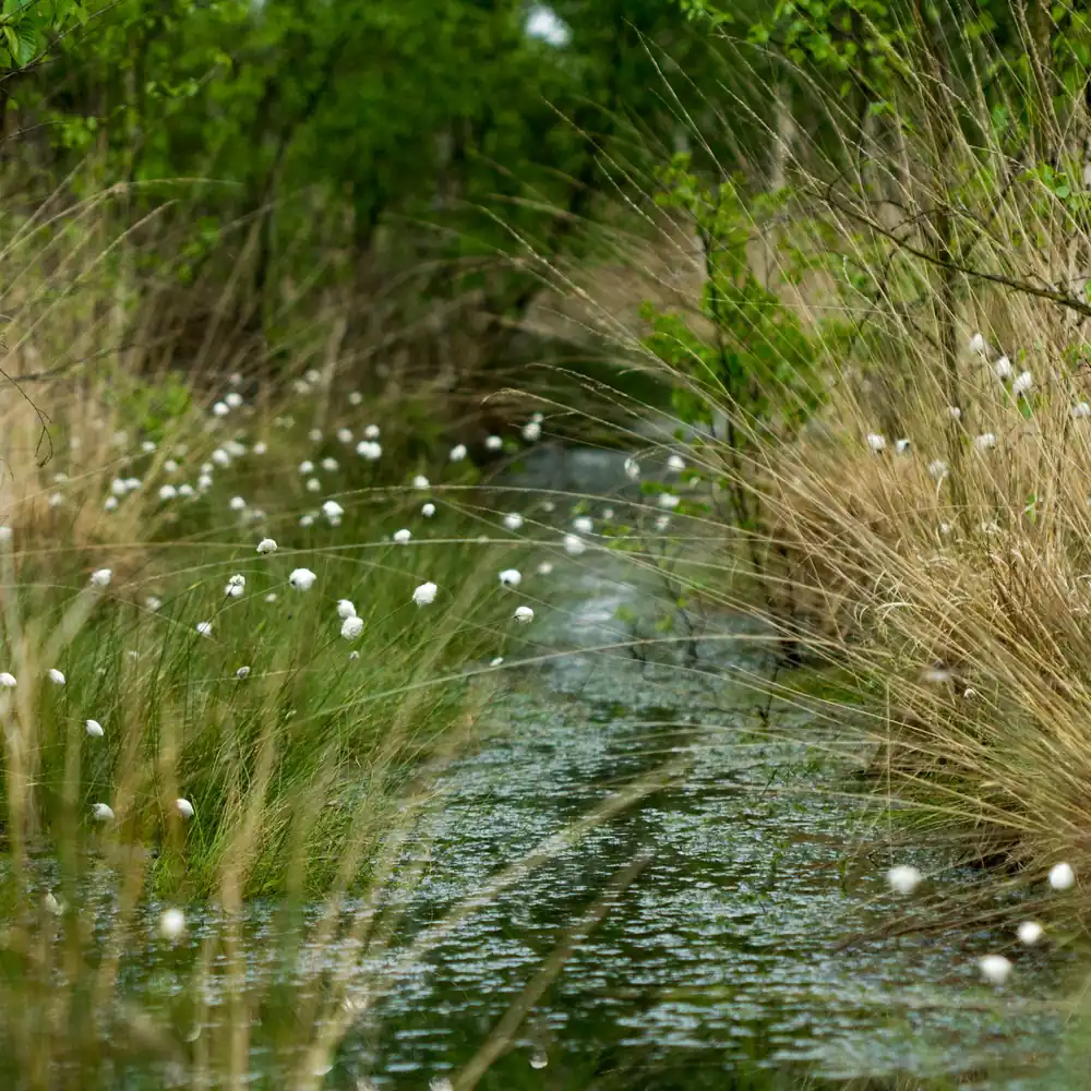 Natuur bij Hardenberg: rijscholen in Hardenberg vergelijken