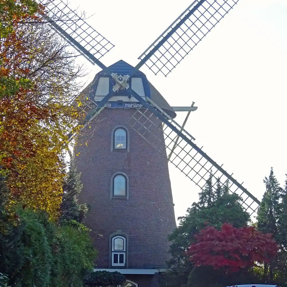 Molen Lana Mariana in Harskamp: vergelijk de rijscholen in Harskamp