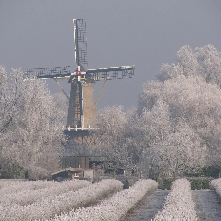 Een molen bij Heinkenszand in de winter: rijscholen in Heinkenszand vergelijken