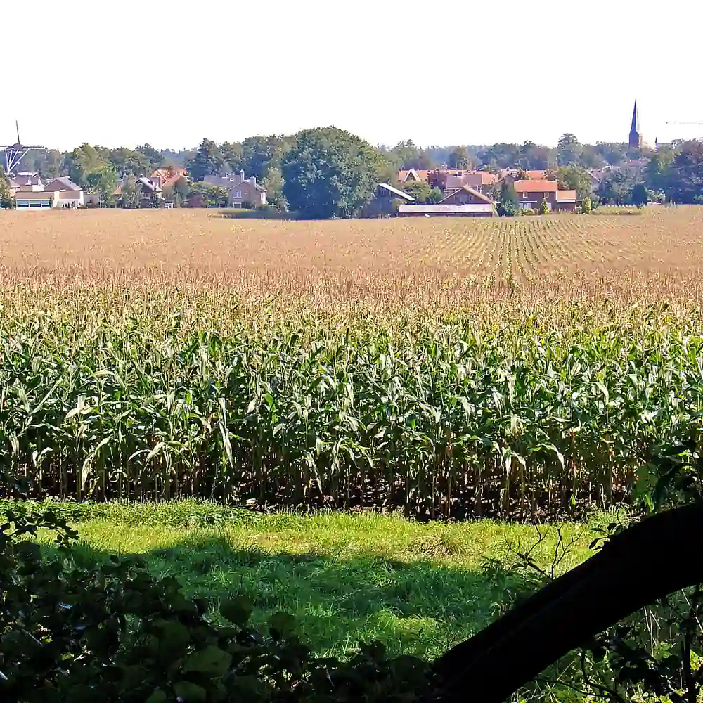 Gezicht op Hellendoorn, waar je de rijscholen in Hellendoorn kunt vergelijken