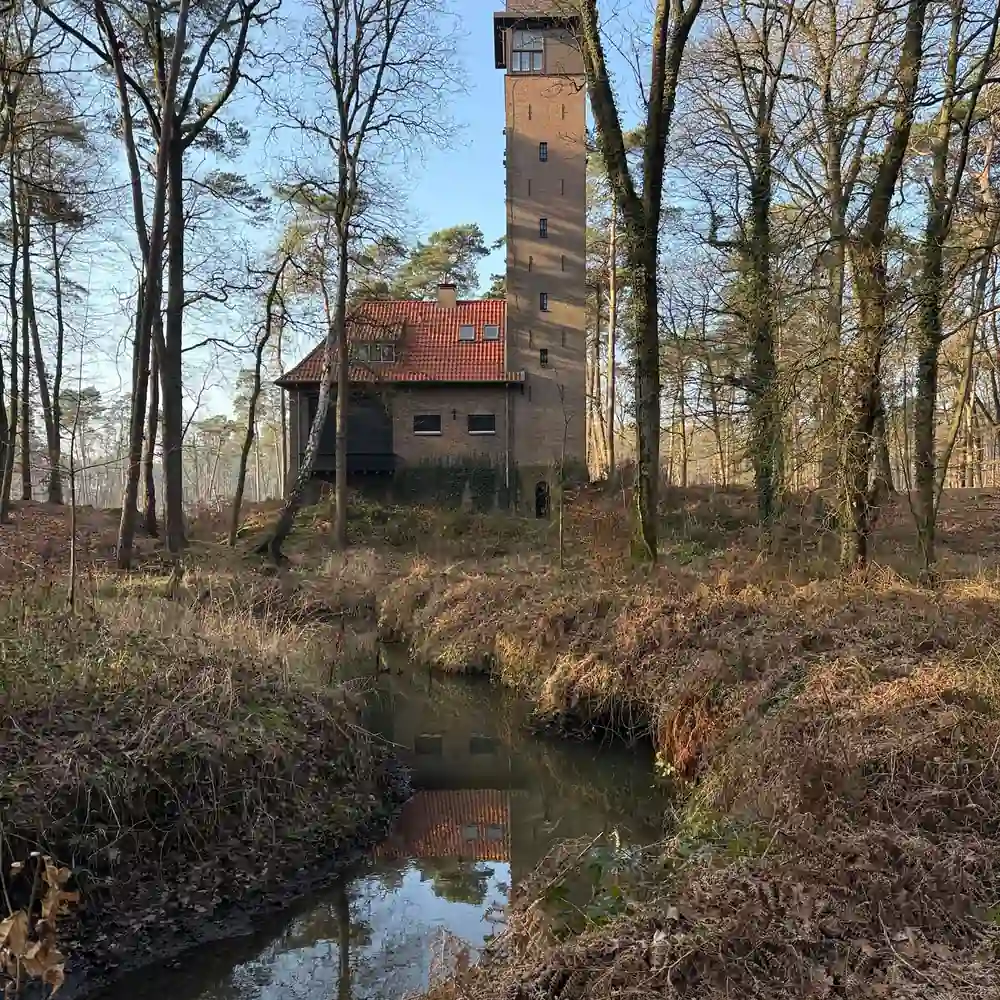 Een historische toren in de bossen bij Hilvarenbeek: vergelijk de rijscholen in Hilvarenbeek