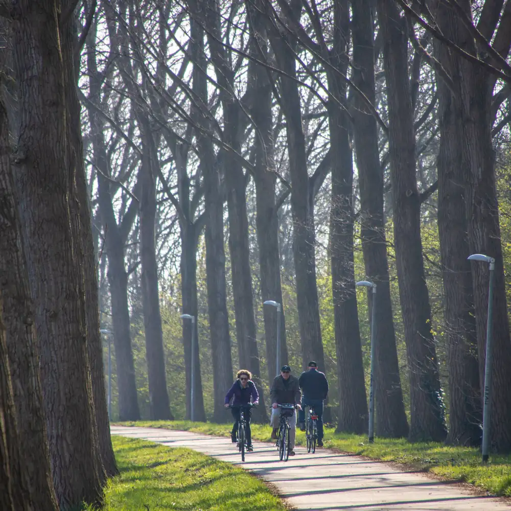 Fietsers op een lommerrijk pad in Krommenie, waar je de rijscholen in Krommenie kunt vergelijken