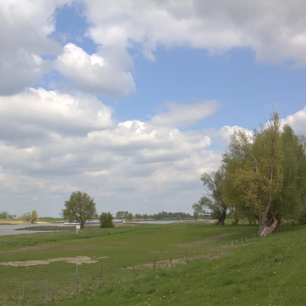 De uiterwaarden van de Lek bij Lexmond, waar je de rijscholen in Lexmond kunt vergelijken