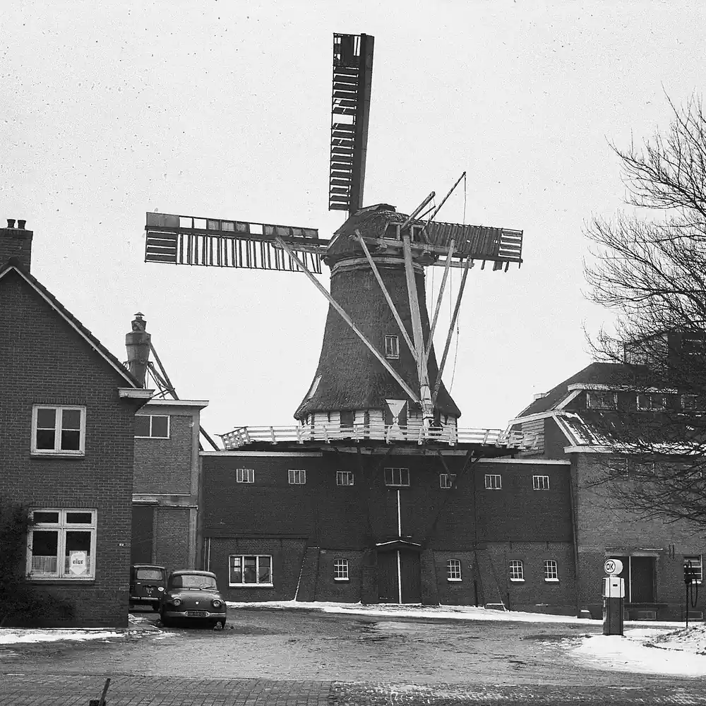 De korenmolen van Makkinga: alle rijscholen in Makkinga op een rij