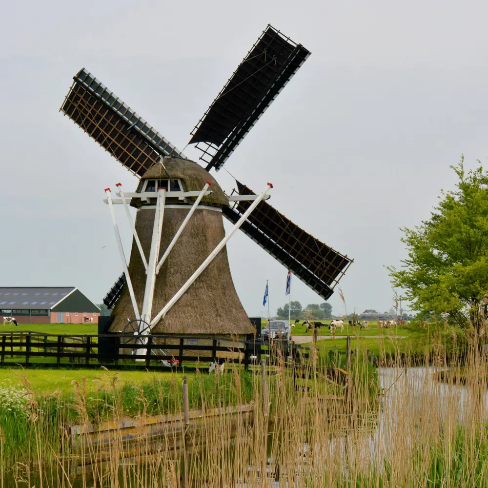 Molen De Ljip bij Menaam: vergelijk de rijscholen in Menaam