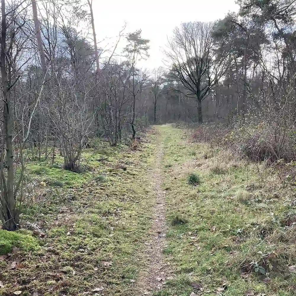 Een bospad bij Neerkant: alle rijscholen in Neerkant op een rij