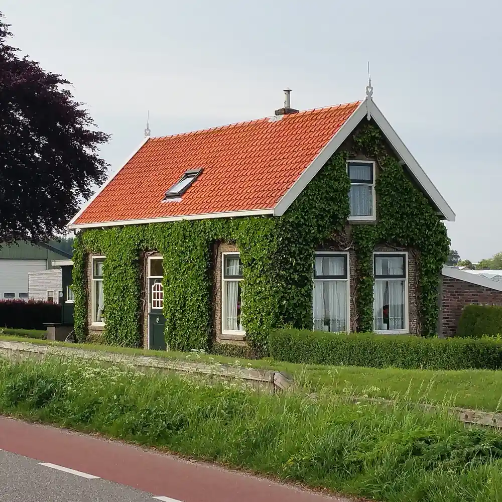Een huisje met een groene gevel in Nootdorp: alle rijscholen in Nootdorp op een rij
