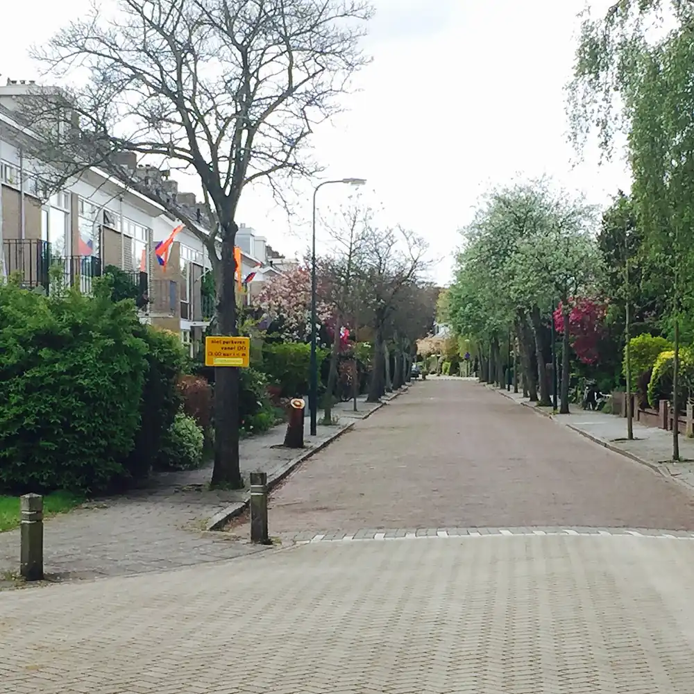 De Carless Beatrixlaan in Oegstgeest, waar je de rijscholen in Oegstgeest kunt vergelijken
