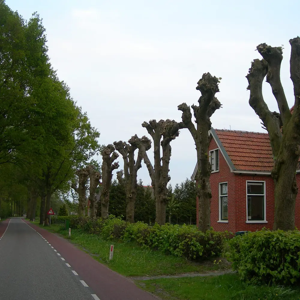 Een huis aan de Kaleweg in Opende: alle rijscholen in Opende op een rij