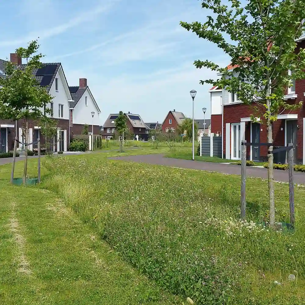 Een autoluwe straat in Pijnacker: alle rijscholen in Pijnacker op een rij