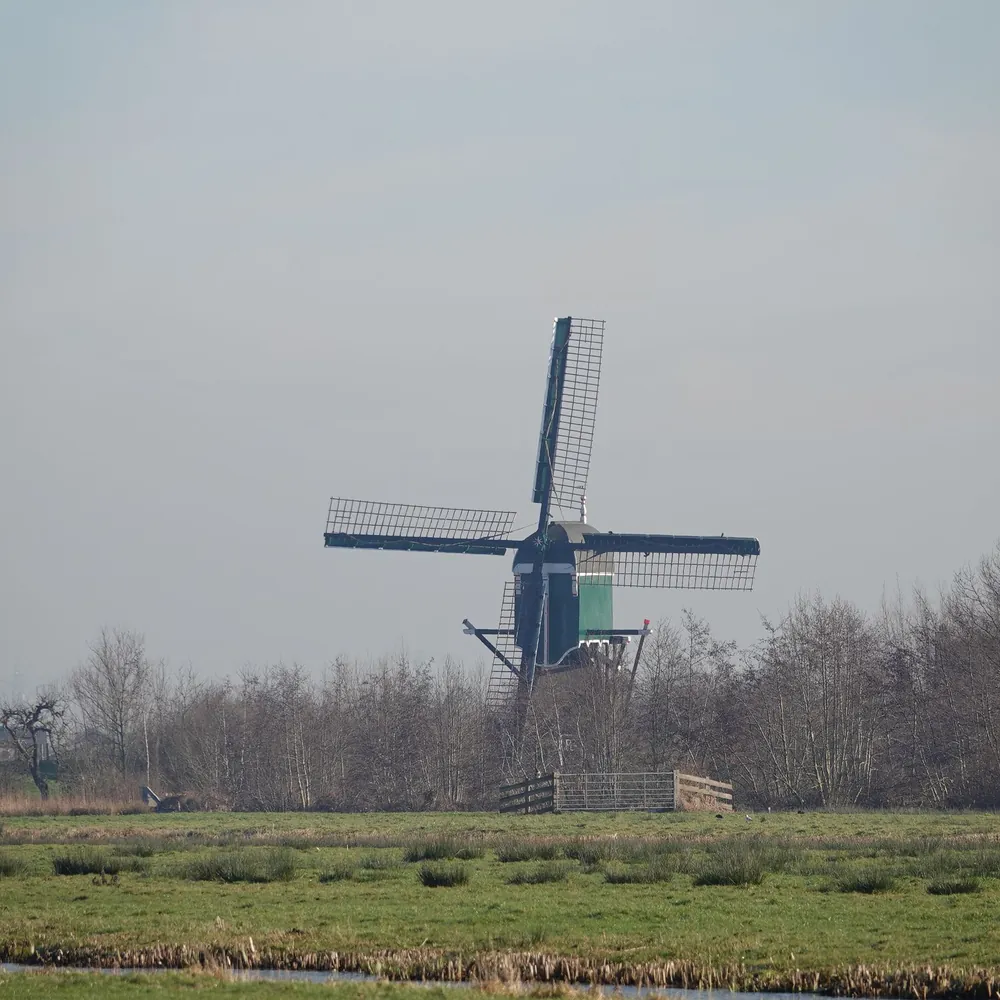 Een molen in de polder bij Reeuwijk, waar je de rijscholen in Reeuwijk kunt vergelijken