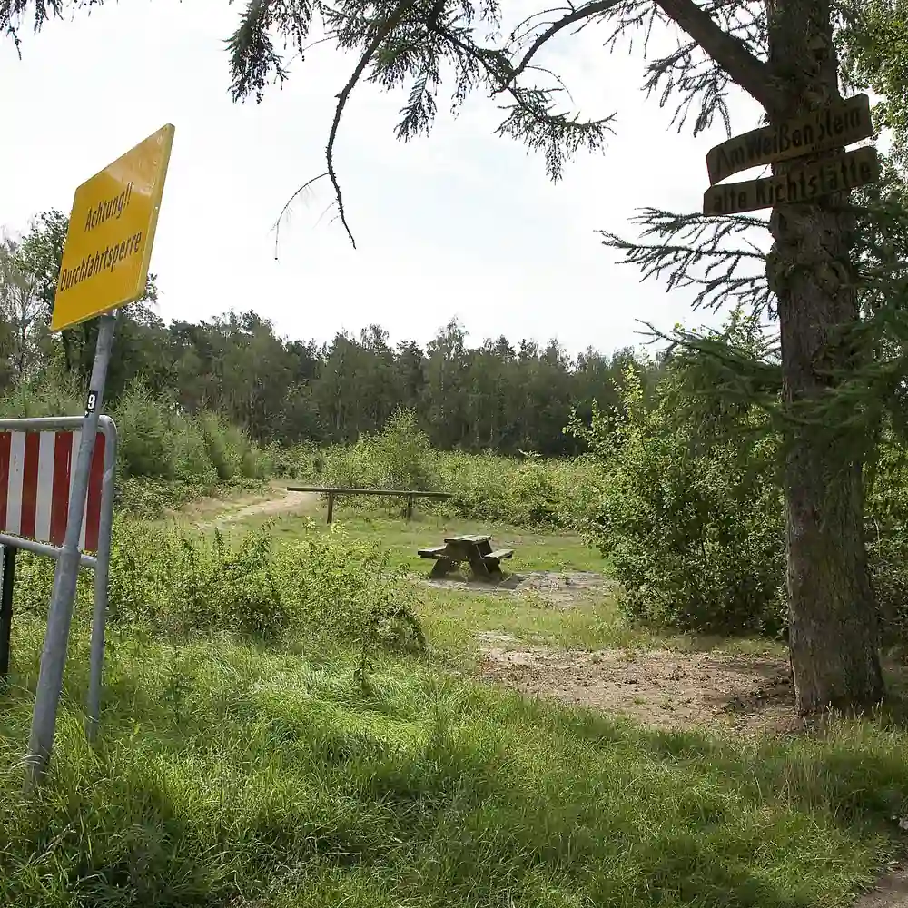 Natuur bij Reuver: rijscholen in Reuver vergelijken