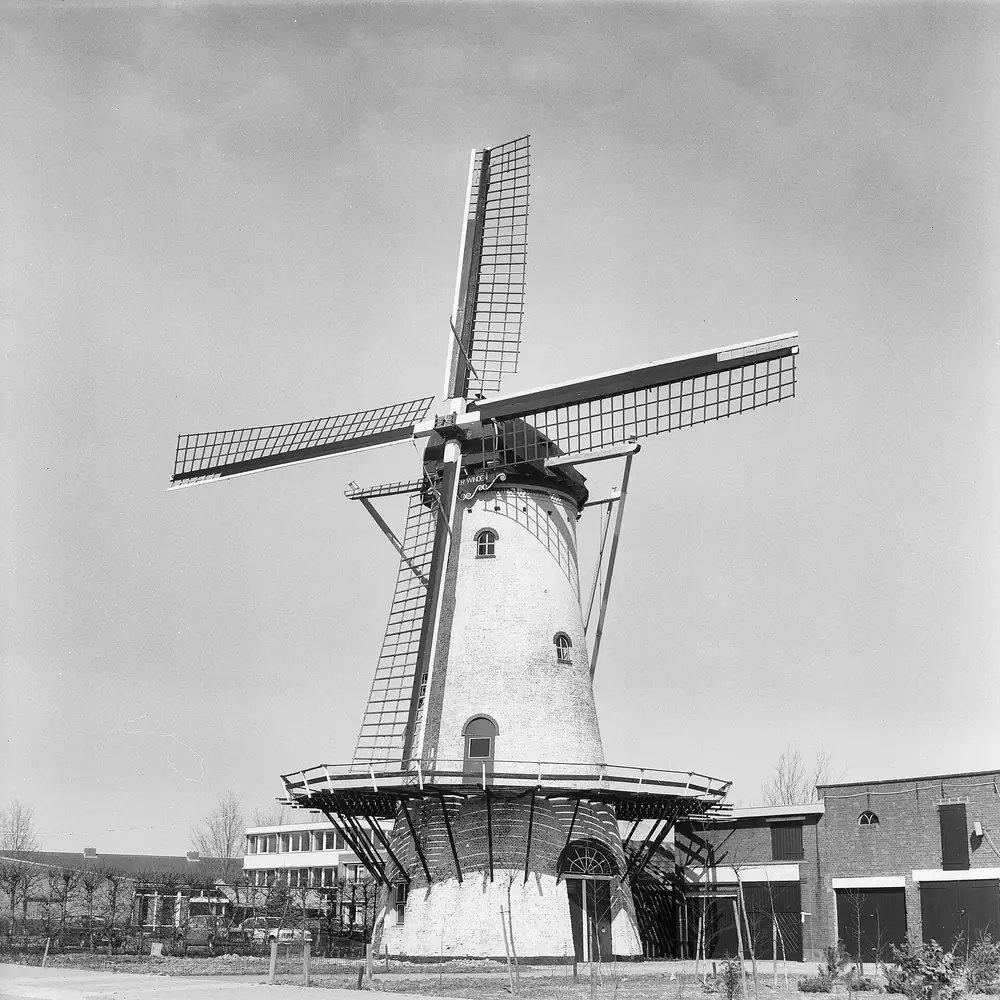 Een molen in Sint-Annaland op een oude foto: vergelijk de rijscholen in Sint-Annaland