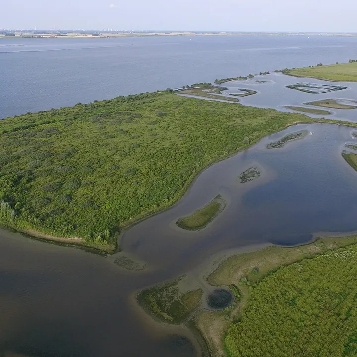 Natuur aan het Haringvliet bij Sommelsdijk: rijscholen in Sommelsdijk vergelijken