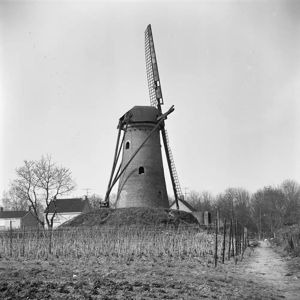 De Bergkorenmolen in Sprundel op een oude foto, vlak bij Rucphen: alle rijscholen in Rucphen op een rij