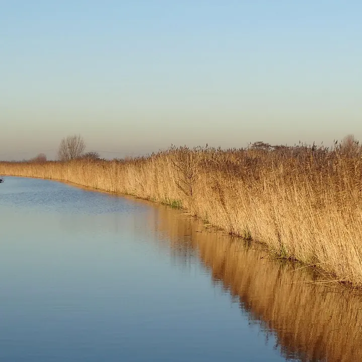 Natuur bij Strijen: vergelijk de rijscholen in Strijen