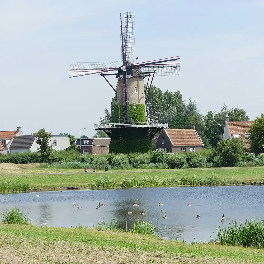 Molen De Arend in Terheijden: rijscholen in Terheijden vergelijken