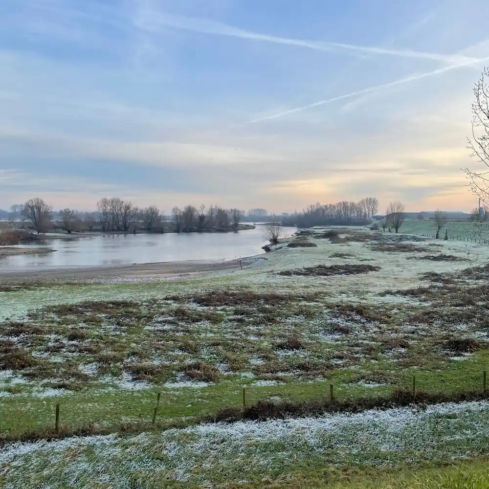 De uiterwaarden bij Tiel in de winter: rijscholen in Tiel vergelijken
