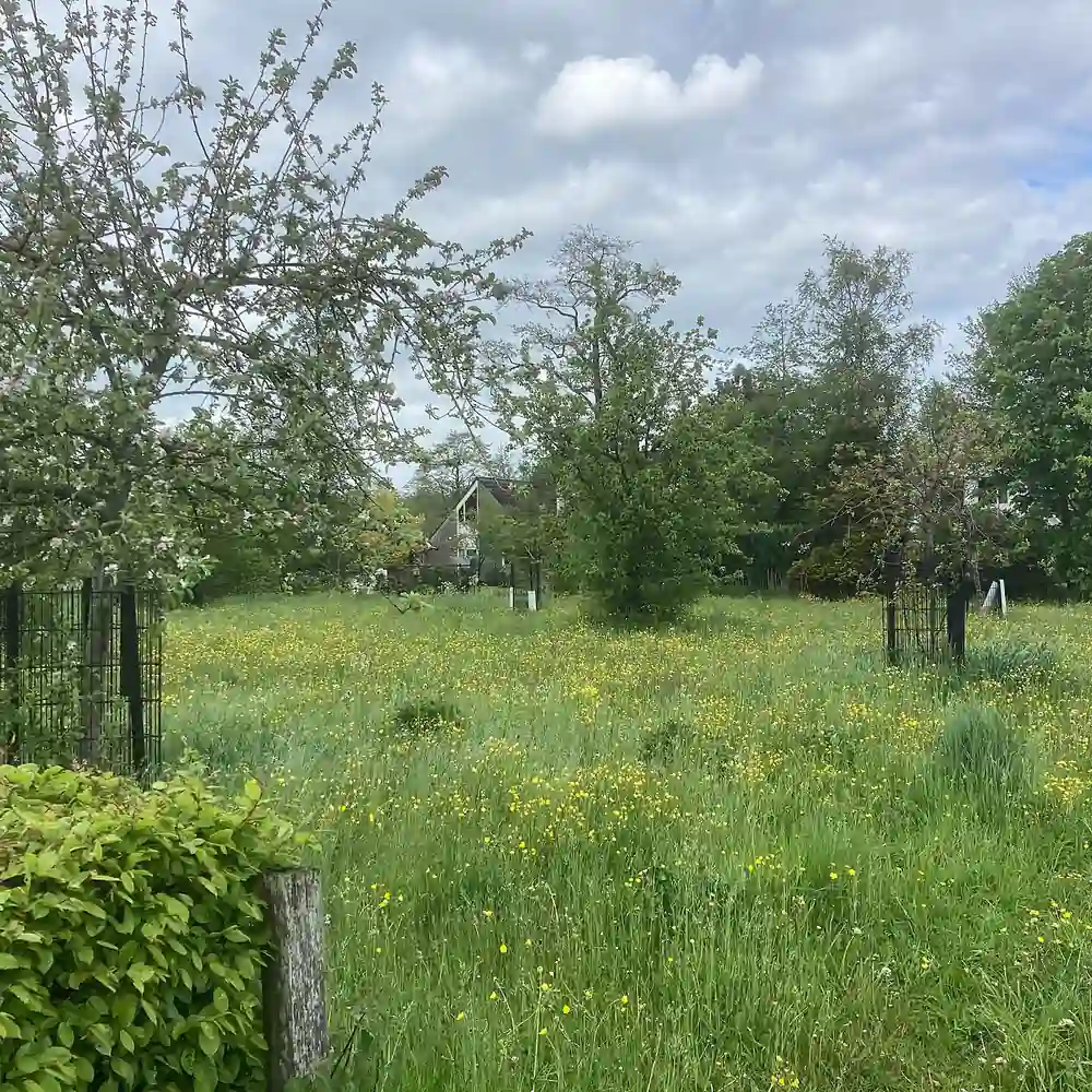 Een boerderij in Tolbert: alle rijscholen in Tolbert op een rij