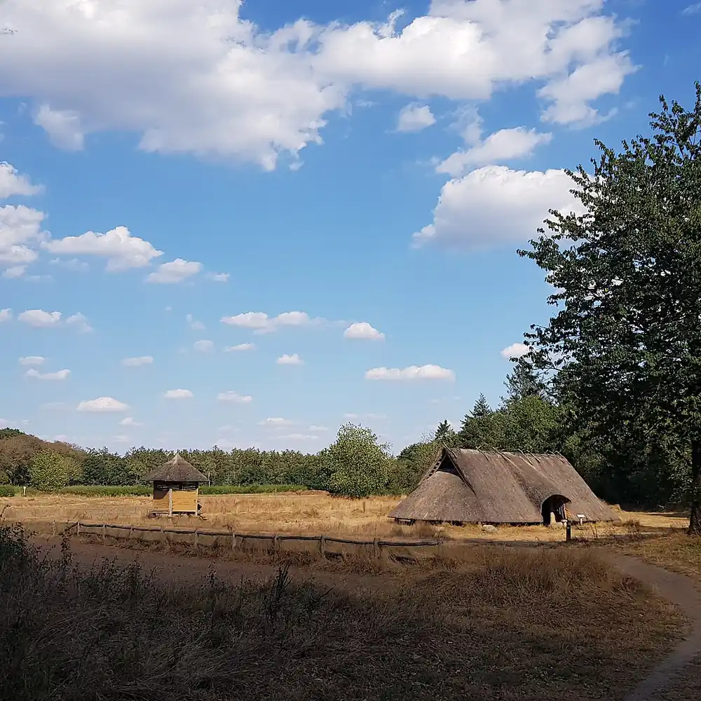 Het landschap bij Wekerom: alle rijscholen in Wekerom op een rij