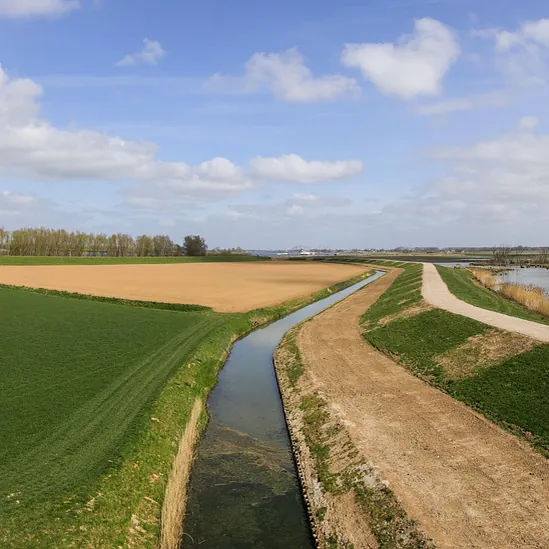 De Biesbosch bij Werkendam, waar je de rijscholen in Werkendam kunt vergelijken