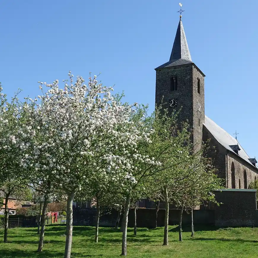 De kerk van Wilsum: rijscholen in Wilsum vergelijken