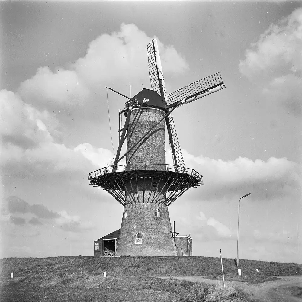 Korenmolen De Hoop in Wolphaartsdijk: vergelijk de rijscholen in Wolphaartsdijk