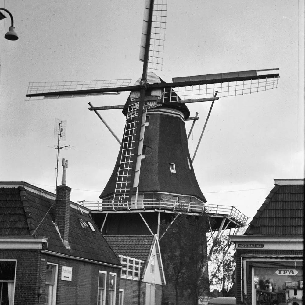 Korenmolen Windlust in Wolvega: alle rijscholen in Wolvega op een rij