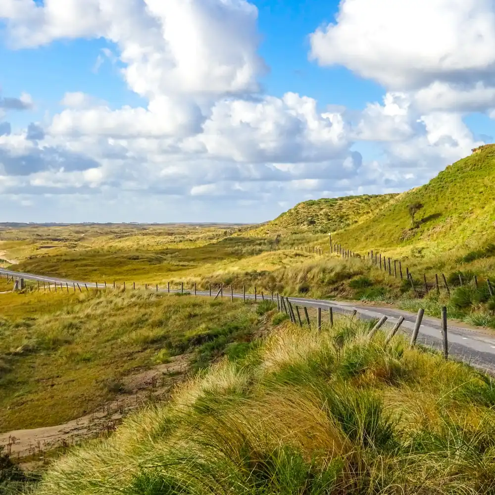 De duinen bij Zandvoort: rijscholen in Zandvoort vergelijken