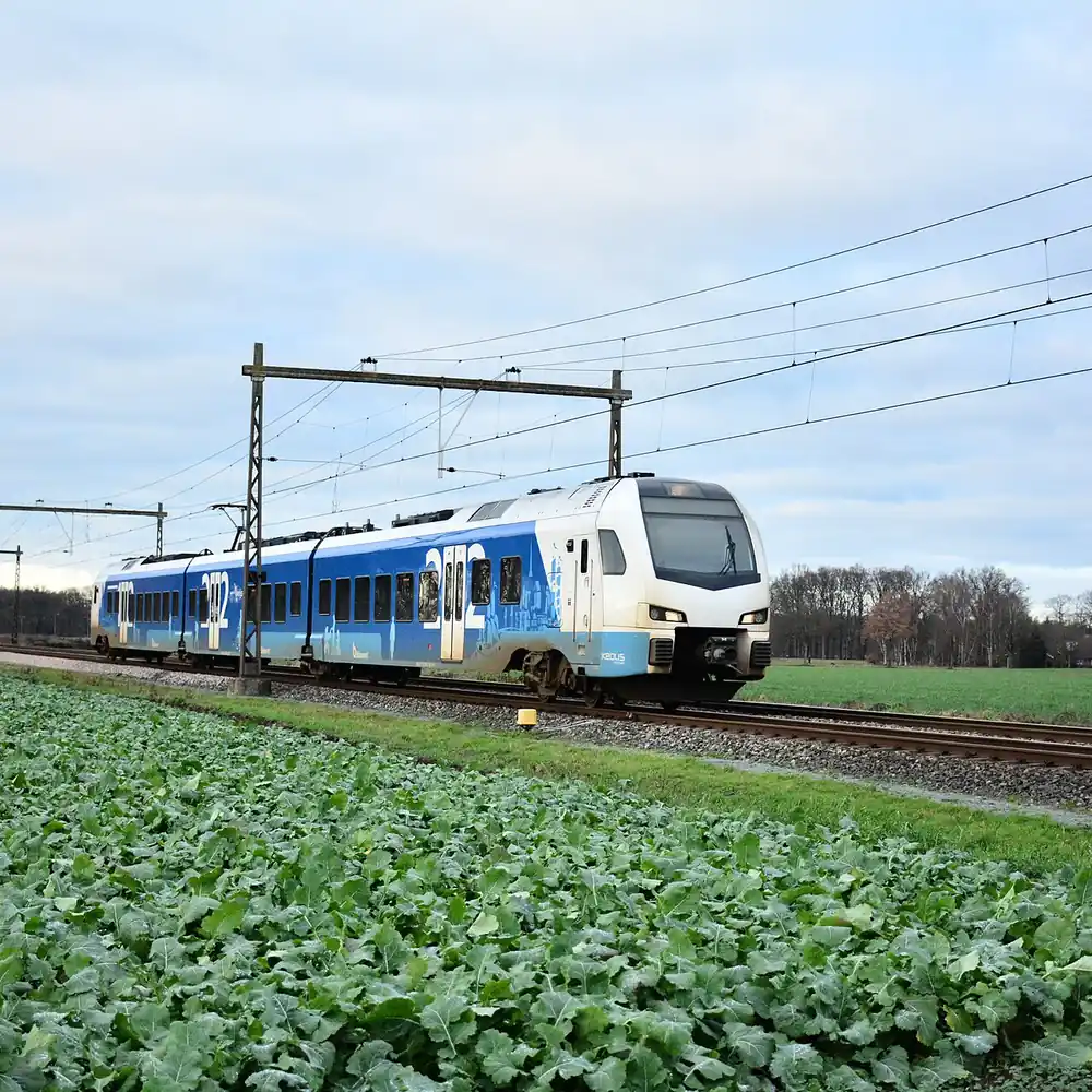 Een trein bij Zenderen, vlak bij Borne: alle rijscholen in Borne op een rij
