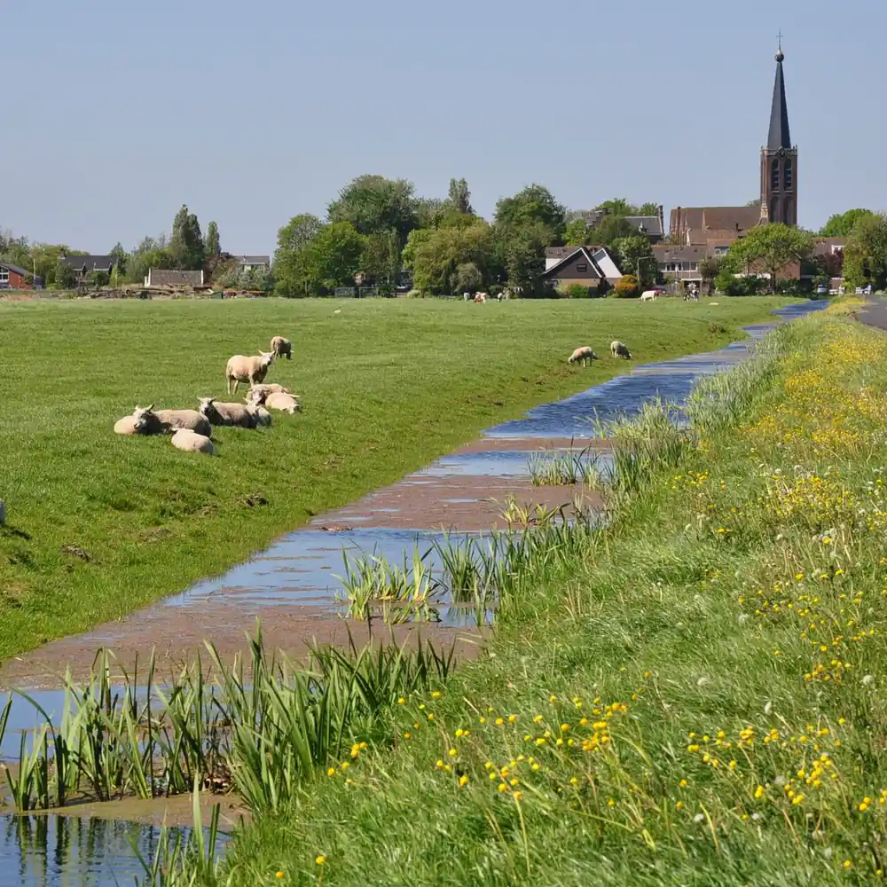 De Westbroekpolder bij Zoeterwoude, waar je de rijscholen in Zoeterwoude kunt vergelijken