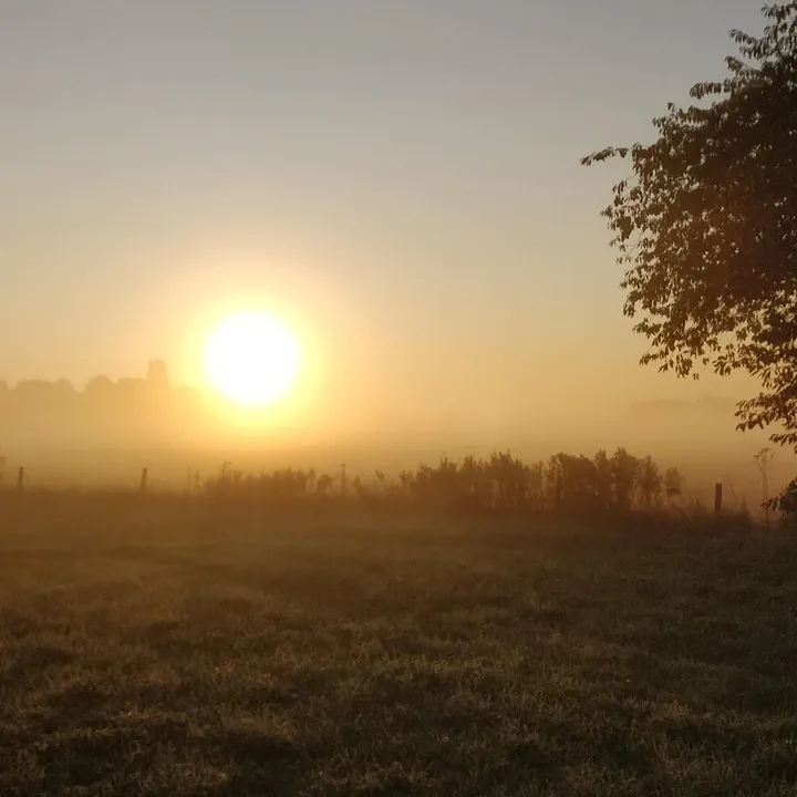 Zonsopkomst boven de weilanden bij Zuid-Scharwoude, waar je de rijscholen in Zuid-Scharwoude kunt vergelijken