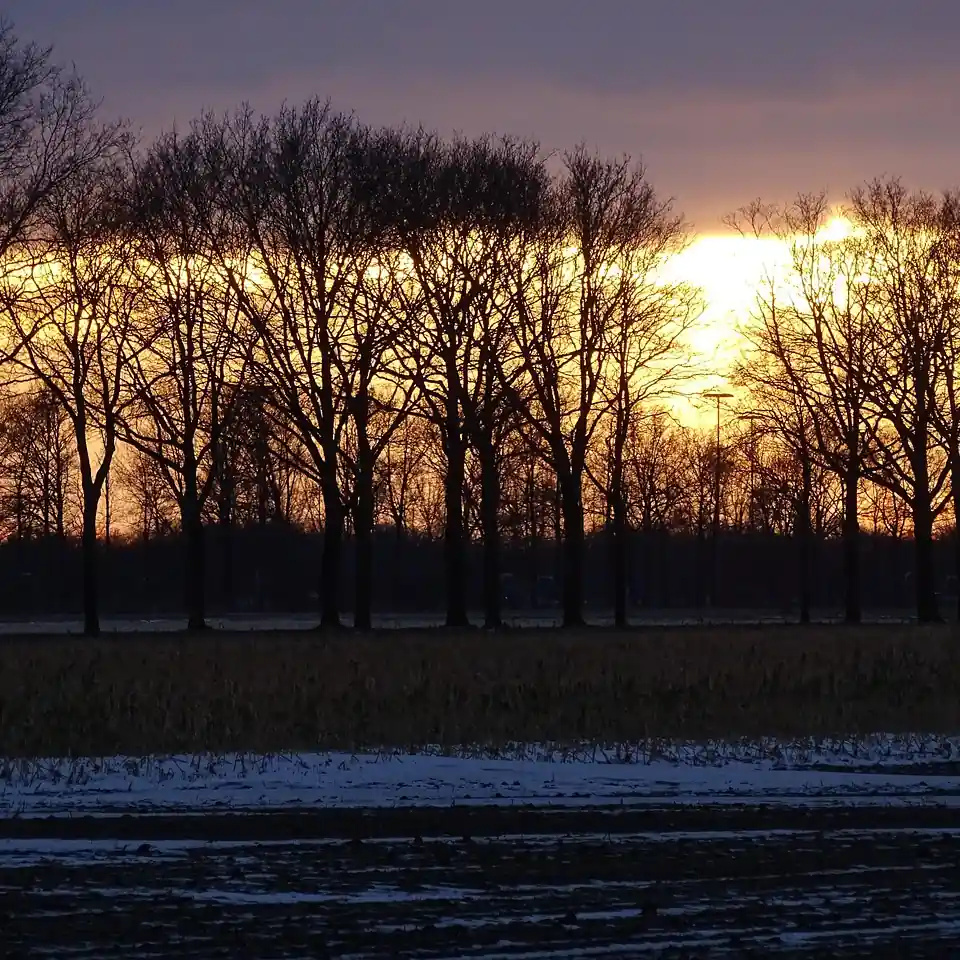 Zonsondergang bij Zuidbroek: alle rijscholen in Zuidbroek op een rij