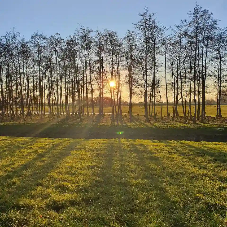 Zonsopkomst bij Zuidland: rijscholen in Zuidland vergelijken